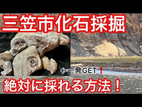 化石採取方法から化石の取り出し方、クリーニング方法を解説❗これさえ見れば化石が採れます❗ キッドマン北海道探索ch ふっちゃま北海道心霊宅配人ch 御同行