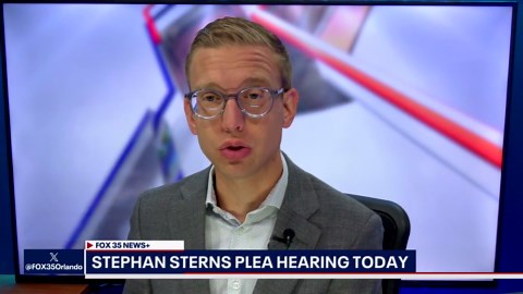 Why did Stephan Sterns wait to plead guilty?