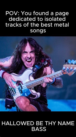 daily.metal.tracks on Instagram: "Steve Harris isolated Bass"
