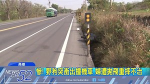 85K views · 139 reactions | 居然發生這種悲劇…（#內湖羅漢腳） #高雄 #婦人 #土狗 ---------...