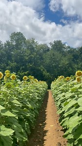 167K views · 860 reactions | 𢡄 Summer tastes sweeter at Jeter...