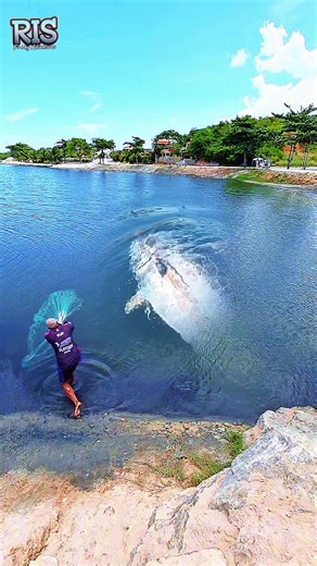 Fishing Net vs Big Fish: An Unexpected Encounter