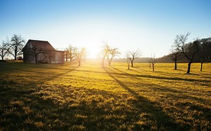 How can my property qualify as a farm for tax purposes?