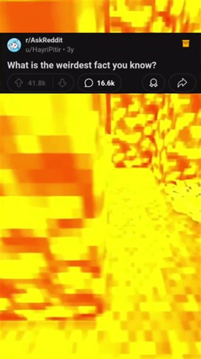 only part. what is the weirdest fact you know? #reddit_tiktok #redd #askreddit #fyp #foryoupage