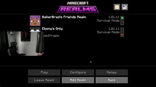 🔴OPEN MINECRAFT REALM (JOIN UP) !Prime #epicpartner #ad