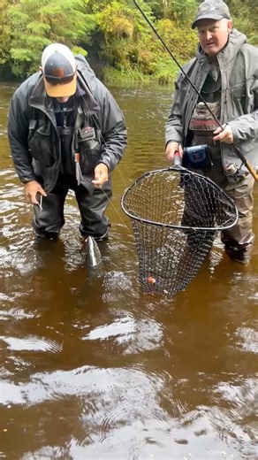 Aquaz Fishing on Instagram: "Swim free. Wade Aquaz. #aquazwaders"