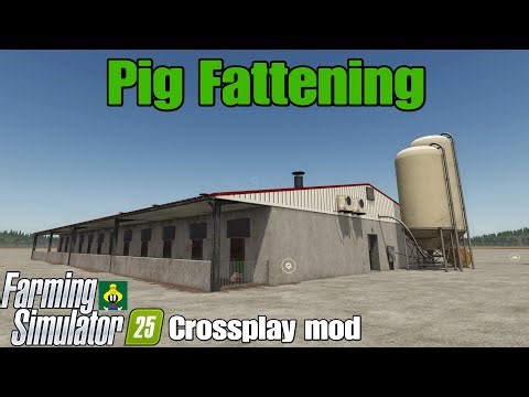 Pig Fattening / FS25 crossplay mod