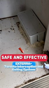 9.4K views · 13 reactions | For your termite control - EXTERRA Temite Interception & baiting system you may call @ (045) 961-2052 Text or call - 09212057556 Smart 09266840801 Globe | Certified Pest Control Services - Pampanga | Facebook