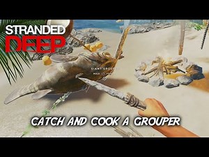 How to catch a giant grouper and cook it, fishing guide stranded deep