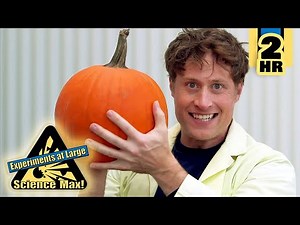 Pumpkin Drop Experiment | Fun with Materials | Full Episodes | Science Max | 9 Story Fun