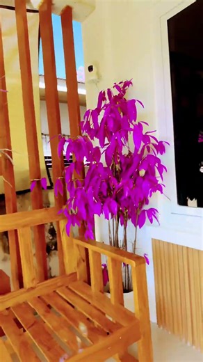 Purpul town