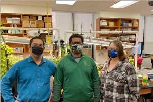 Kedzie Student Garden