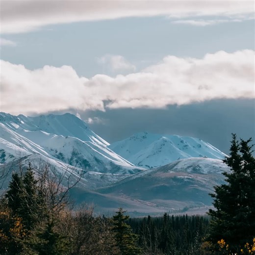 ✨ Discover Anchorage’s winter wonderland with Alaskan Sights & Bites. 🥾 Glacier treks, 🦌 wildlife spotting & 🍜 cozy culinary stops - our winter tours bring Alaska to life. ⭐ 98% ★★★★★ reviews - travelers love us! | Alaskan Sights and Bites