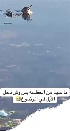 فيديوهات أنشأها Ghorm (@ghorm4) باستخدام الصوت الأصلي - Ghorm