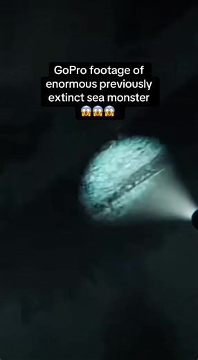 Captivating GoPro Footage of Sea Monsters