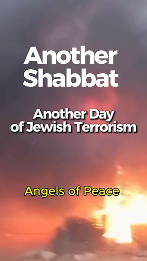 3.5K views · 257 reactions | Another Shabbat, Another Day of Jewish...