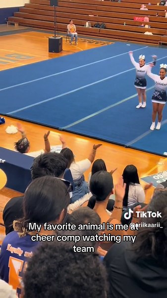 Cheerleading Competition Highlights in Hawaii