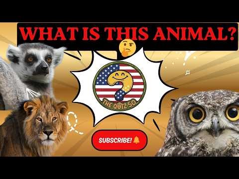 GUESS THE ANIMAL BY THE CLOSE-UP! 🐾 | 50 Animals Quiz | The Quiz 50