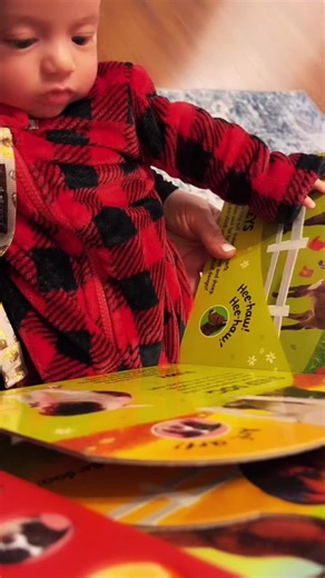 Learning Animal Sounds with a Colorful Children's Book