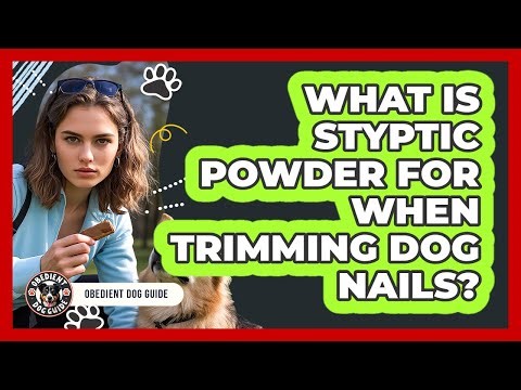 What Is Styptic Powder For When Trimming Dog Nails?