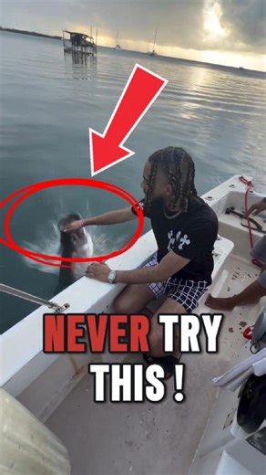 “What Happens When You Feed a Fish With Your Hands 😱” #shorts