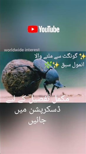 ایک بادشاہ,وزیر اور اللّٰہ تعالیٰ