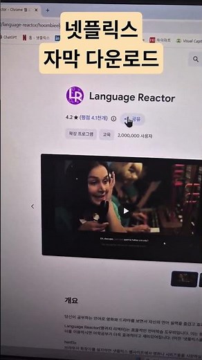 넷플릭스 자막 다운로드 하기 (feat. netflix)