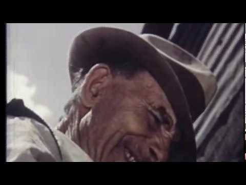 History of Watts Towers in Los Angeles California