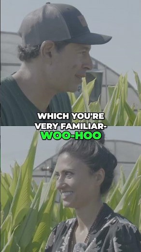 How India’s Organic Farms Preserve Herbal Traditions