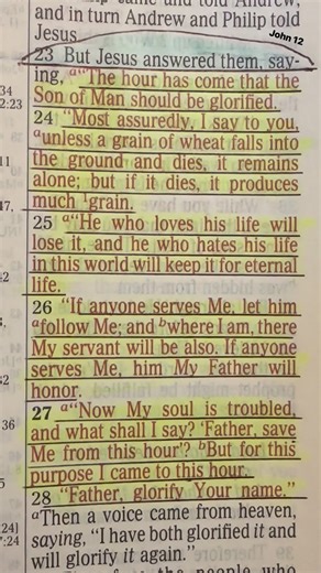 Because Your love is better than life my lips will praise You. Amen ⭐️⭐️⭐️⭐️⭐️⭐️⭐️⭐️💫 #thebible #biblia #bibleverse #bible #biblestudy #biblescripture #bibleverseoftheday #biblereading #biblejournalist #god #jesus #jesuslovesyou #jesussaves #pray #prayer #prayers #biblia #blessed #trustgod #godslove #faith #praying #prayerworks #godsplan #jesuscristo #christian #worldnews #amen | The Holy Bible