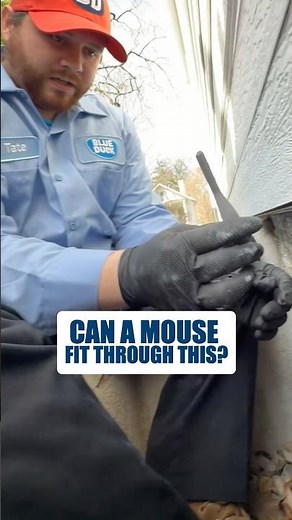 What Is a Fit Tool? How Pest Pros Find Mouse Entry Points in Your Home #shorts