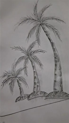 Easy Coconut Tree Sketch | Aesthetic Pencil Drawing