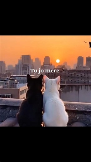 Samjhawan ❤️ | Aesthetic Lyrics Status | Humpty Sharma Ki Dulhania #Shorts