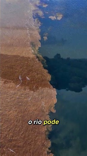 😱 O Rio Amazonas é MAIS ASSUSTADOR do que você imagina! 🌊🐍 #Shorts #RioAmazonas #Amazonia #brasil
