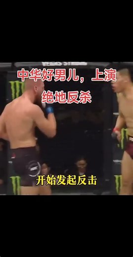 中華好男兒，上演絕地反殺 #mma #精彩影视 #ufc #精彩影视 #影视聚焦 #kungfu