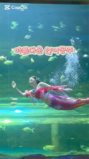 아름다운 인어공주 볼 수 있는 곳 #대전가볼만한곳 #대전여행