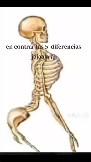 Videos de fumando🤣👿 (@fumando449) con “sonido original - pirate”