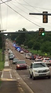 9.2K views · 33 reactions | City of Paris, TN government on Reels | Facebook