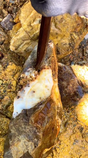 Gold Prospecting for Beginners in 2026
