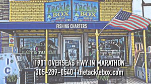 The Tackle Box in Marathon carries a variety of live bait! https://www.youtube.com/embed/V2RytstvIy8?si=qCR875uUFGIjFTk5 The Tackle Box Marathon Fla Keys #marathonfloridatv88 #marathonvacation #floridakeys | MarathonFlorida.com TV88