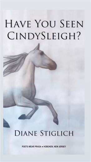 Join our favorite new “bad ass chick” heroine for three rocking metaphysical journeys! With iPod, Tarot cards in hand, CindySleigh, dressed in white T & jeans and her favorite running shoes, jumps into her in her trusty pick-up, Karen, and after checking the weather with her index finger, speeds away from her part-time priest boyfriend, Father Michael, and her changling son, D.C.. “The book is a dream-like art-come-to-life world, where there are truths that are as immutable in this reality as in