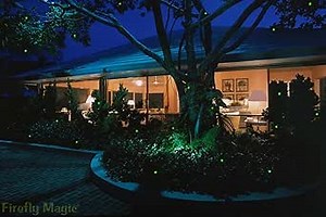 Solar LED Fairy, Lightning Bug Lights…Patented to Naturally Mimic Real Fireflies