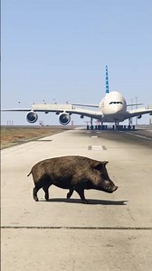 Airbus landing Gtav Video #gtav