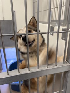 1.2K views · 97 reactions | ❌❌ RESCUE PLEA SENT MUST EXIT TOMORROW...