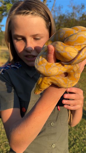 9.5K views · 984 reactions | This absolute beauty is Ace my Reticulated Python - how awesome are his colors!  | Brooke.Carter | Facebook