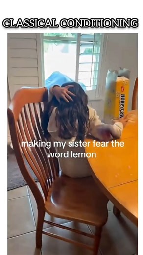 The_psyche_cafe on Instagram: "Classical conditioning is a learning process where a neutral stimulus is paired with an unconditioned stimulus to elicit a conditioned response. For example, Pavlov's dogs salivated when they heard a bell (neutral stimulus) after it was paired with food (unconditioned stimulus). Similarly, you might feel anxious when you hear a drill (neutral stimulus) if it's paired with a painful dentist visit (unconditioned stimulus). This concept is used in advertising, phobia