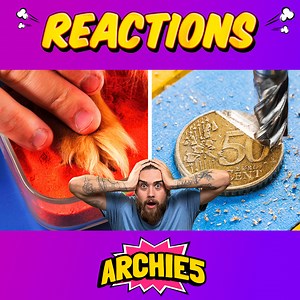 12K views · 63 reactions | DIY Pet Beds, Toys & More! Are These Crafts Worth It?  The Dudes REACT! | Archie5 Reacts | Facebook