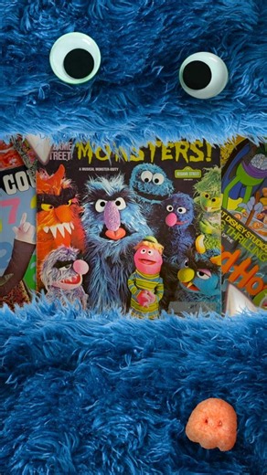Sesame Street is full of Monsters!