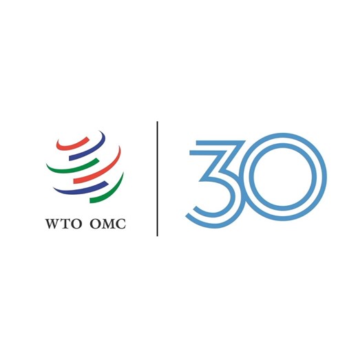 1.4K views · 37 reactions | 30 years of the WTO through the voices of its members! What is the WTO? Why does it matter? What’s next? Three decades supporting the multilateral trading system—and the journey goes on! #WTOat30 | World Trade Organization - WTO | Facebook