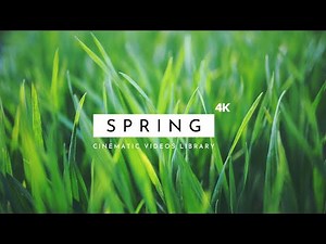 Spring - Cinematic Videos 4K | Free Spring Footage Stock